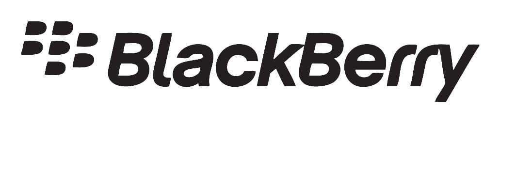 Blackberry最優秀 若い企業家