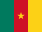 Flaga CAMEROON