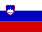 Флаг SLOVENIA