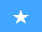 Flag of 