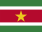 Flag of SURINAME